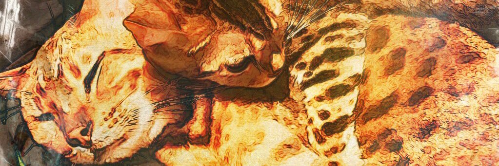 aykst_10's profile banner image
