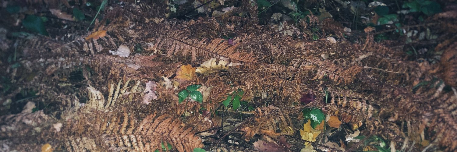 xkillevilx's profile banner image