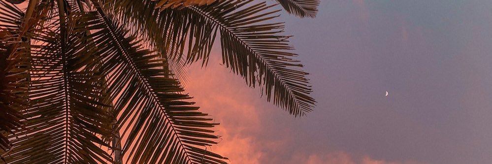 Maggie 🫀 banner