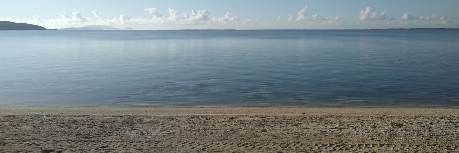 Alessandro Ferreira banner