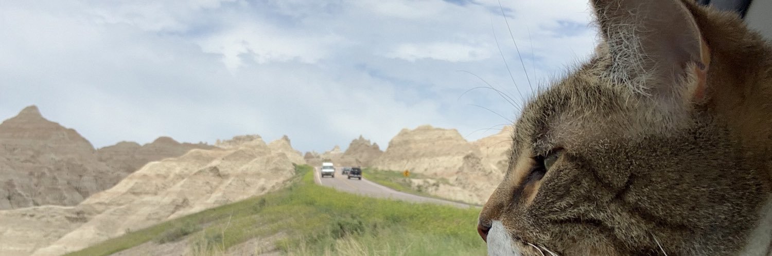 alexsteincomedy's profile banner image