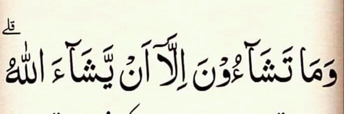SadafSeemi111's profile banner image