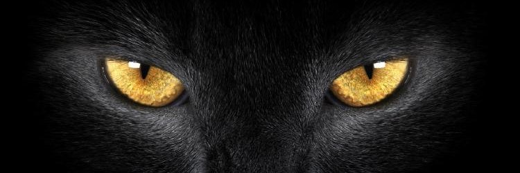 educa_actual's profile banner image