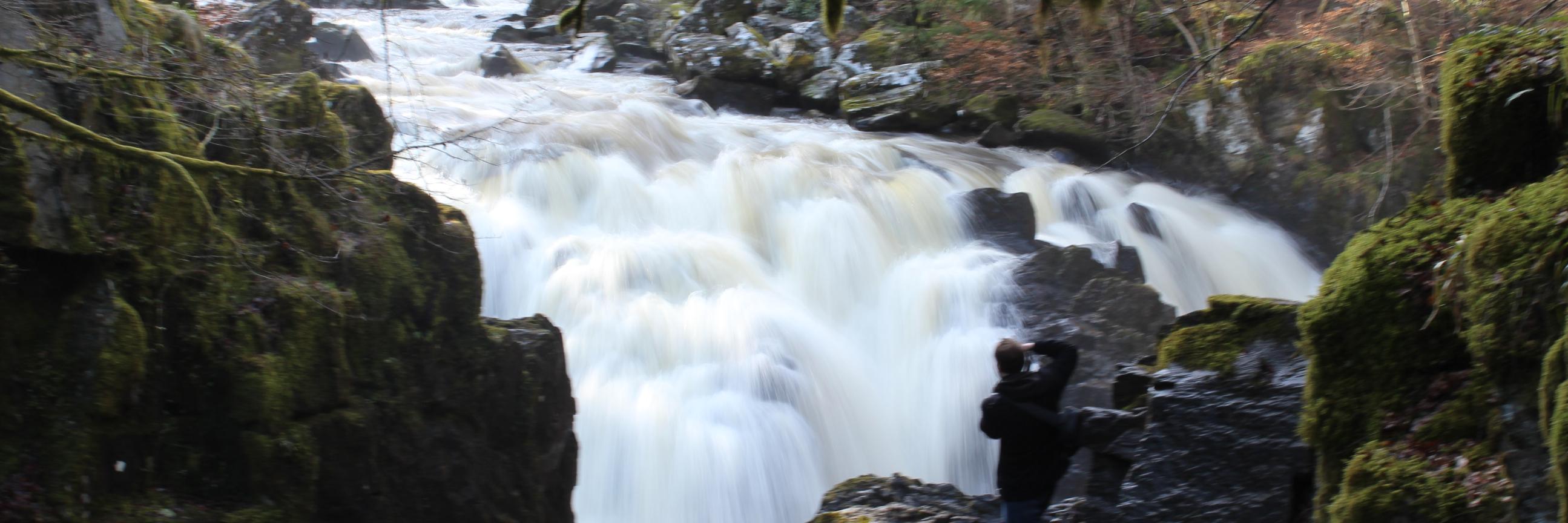 James W. Checco banner