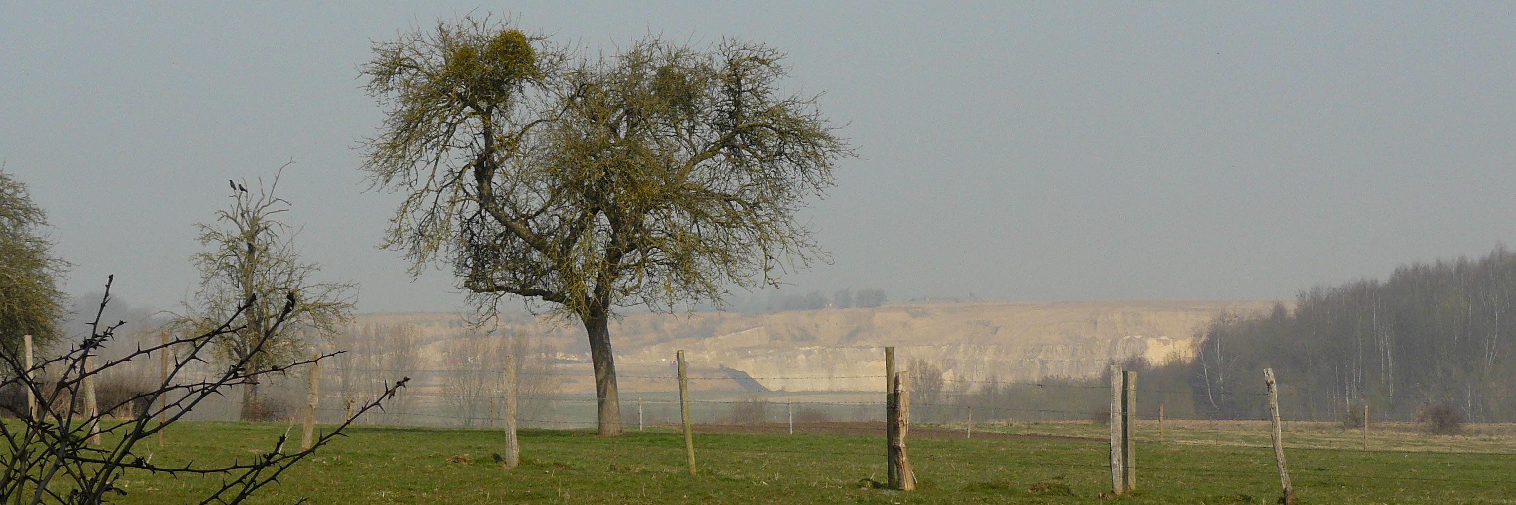 Alfons Kerremans banner