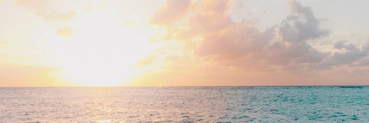 pangriptatita's profile banner image