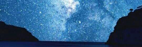 LillyzHamed's profile banner image