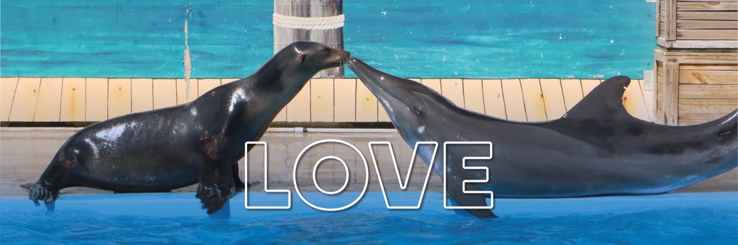 gulfworldPCB's profile banner image