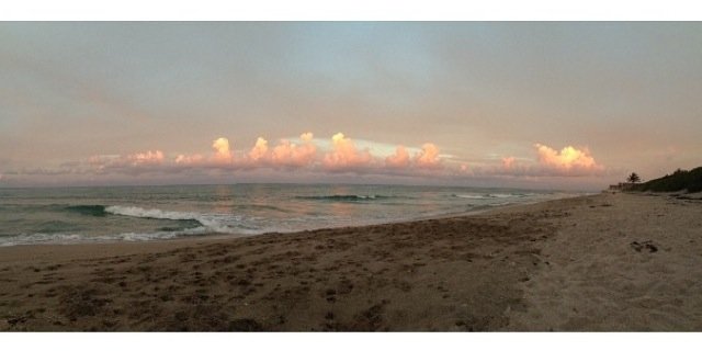 allison__soup's profile banner image