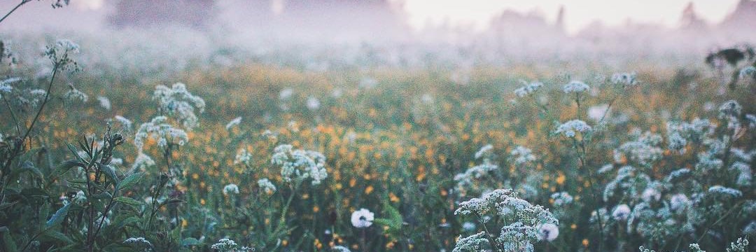 aprilbloomson's profile banner image
