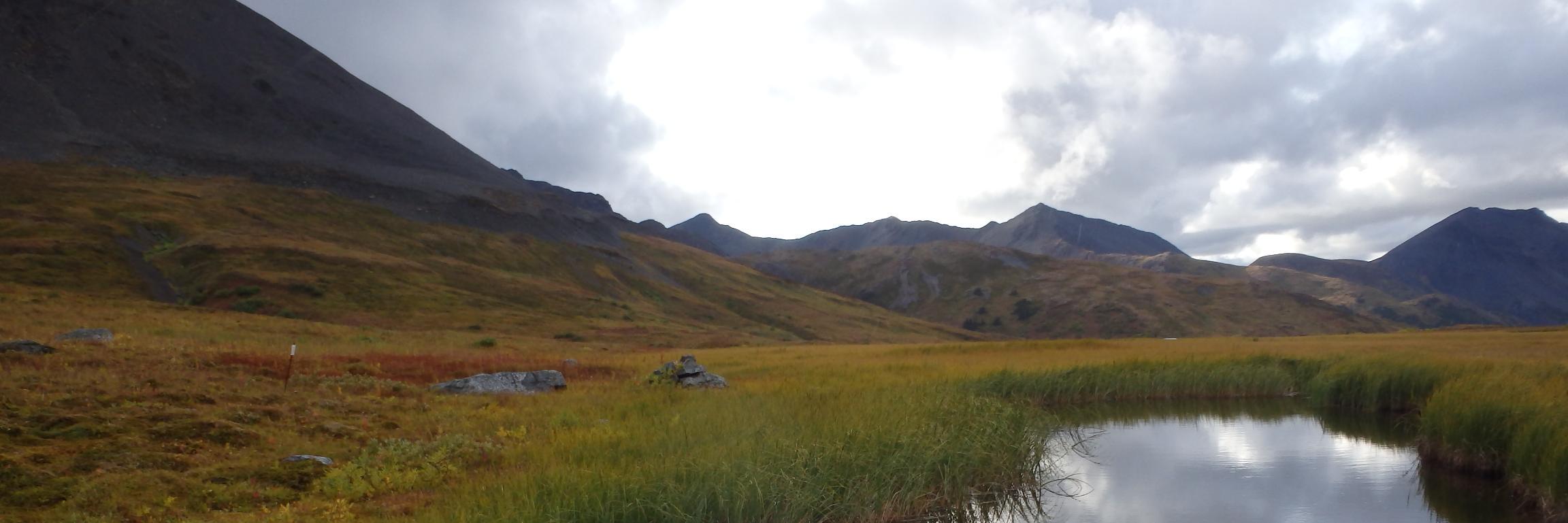 Dr. Monique Simair banner