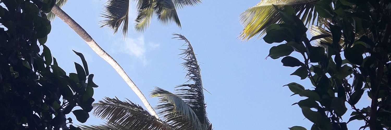 _CandyCoatedxo's profile banner image