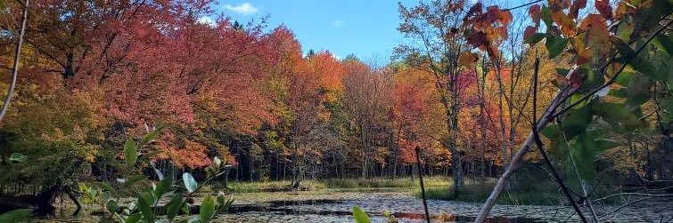 Melissa Duggan 🏳️‍🌈 (she/her) banner