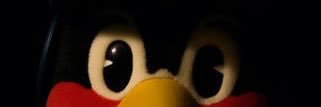 こあら@🐧's banner