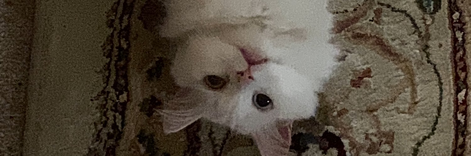 sarah 💅🏻 banner