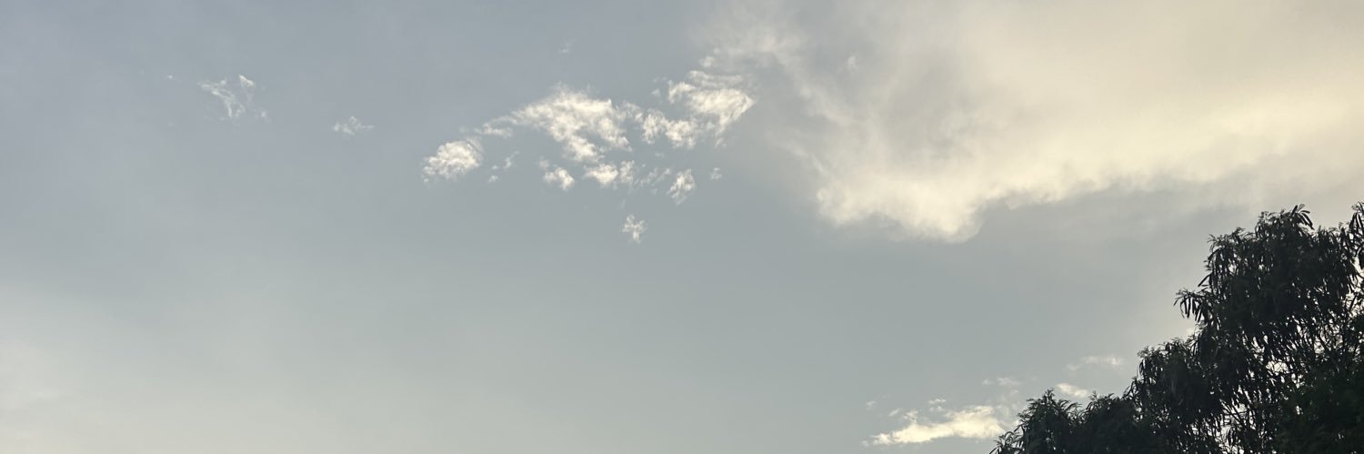 Devilyuuri's profile banner image