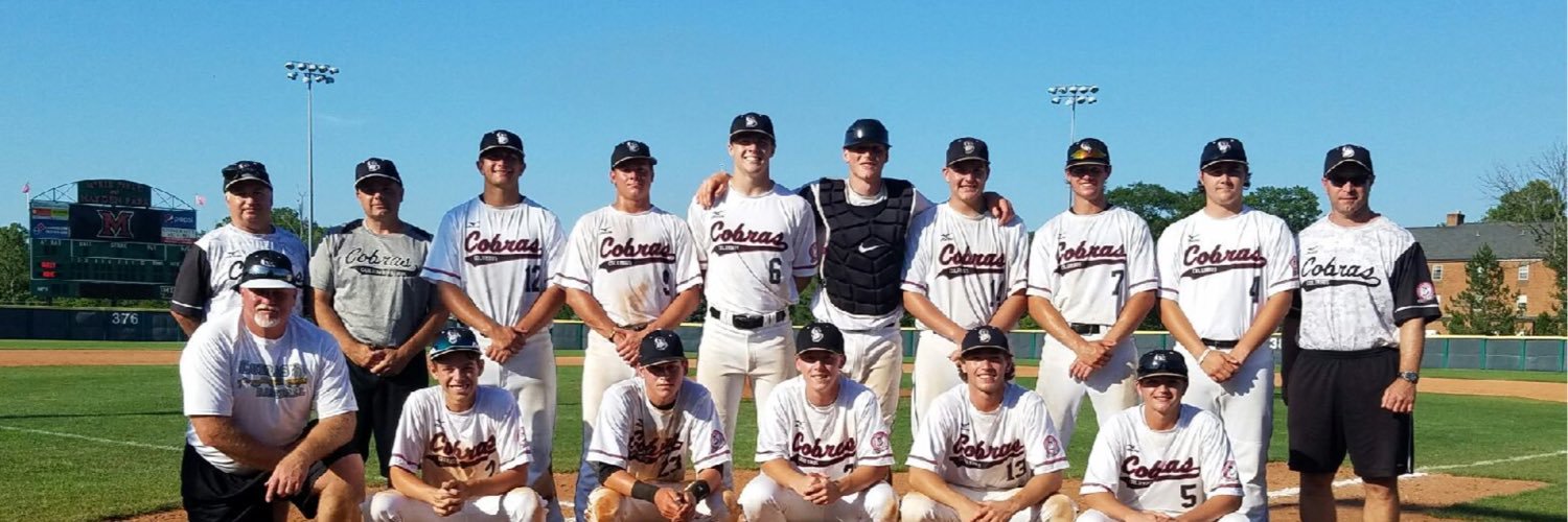 Cols Cobras 2016 17U banner