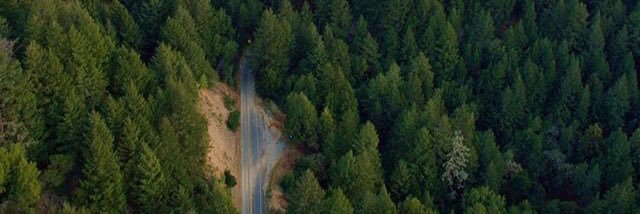 chimchoww's profile banner image