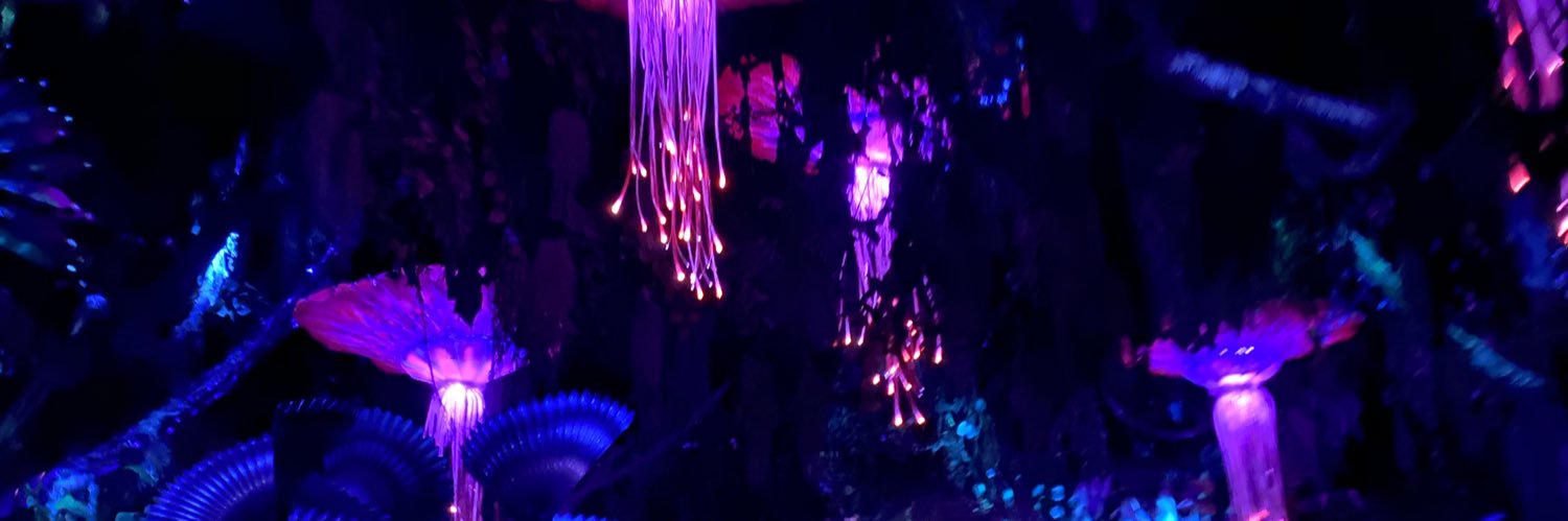 Michelle Hendrick banner