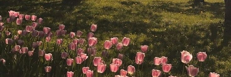 It banner