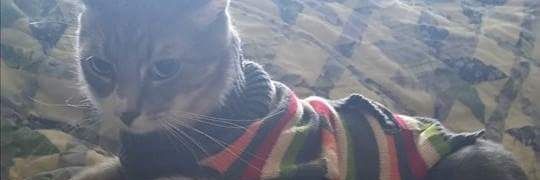 nathanolewiler2's profile banner image
