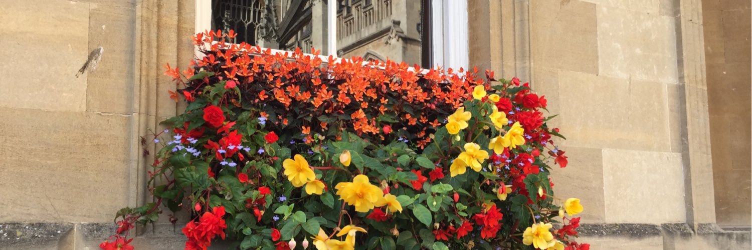 ClaudiaPobleteOlmedo banner