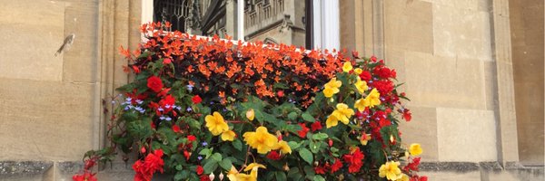 Claudip Profile Banner