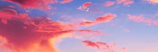 Trist banner
