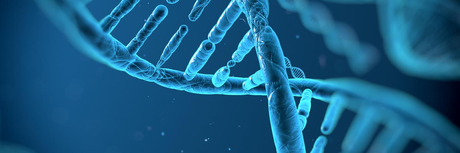 stemcellethic's profile banner image
