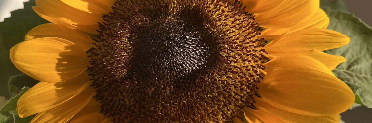 isabelaaee's profile banner image