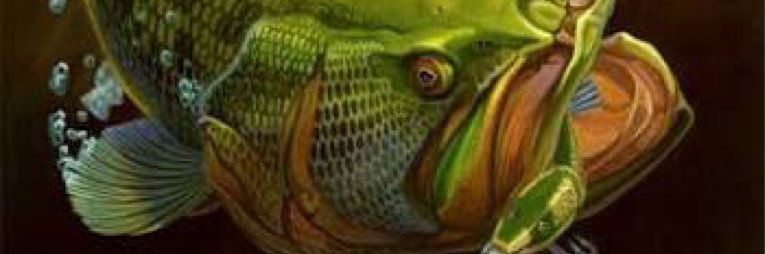 Jamo1208's profile banner image