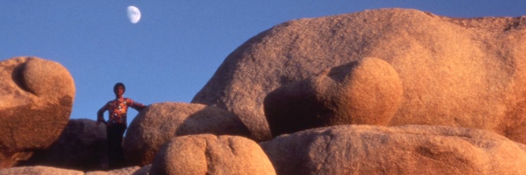 mayahrc's profile banner image