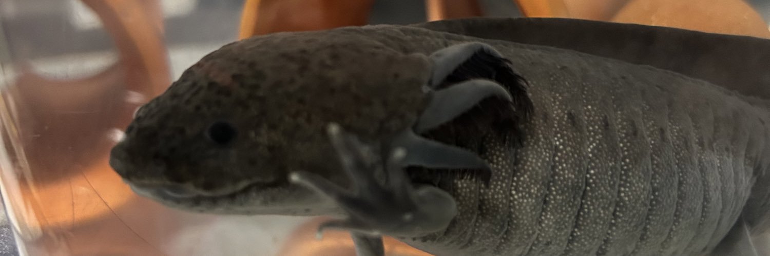 kuccho935's profile banner image