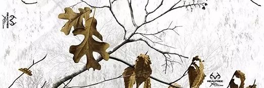 Gav banner