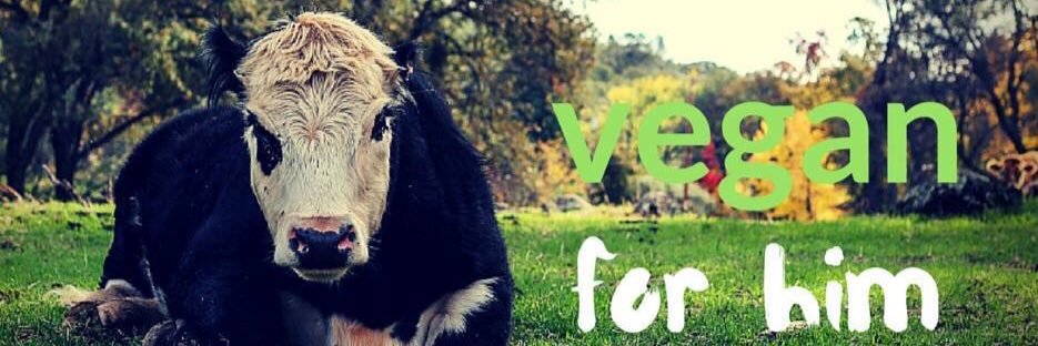 tabgreenvegan's profile banner image