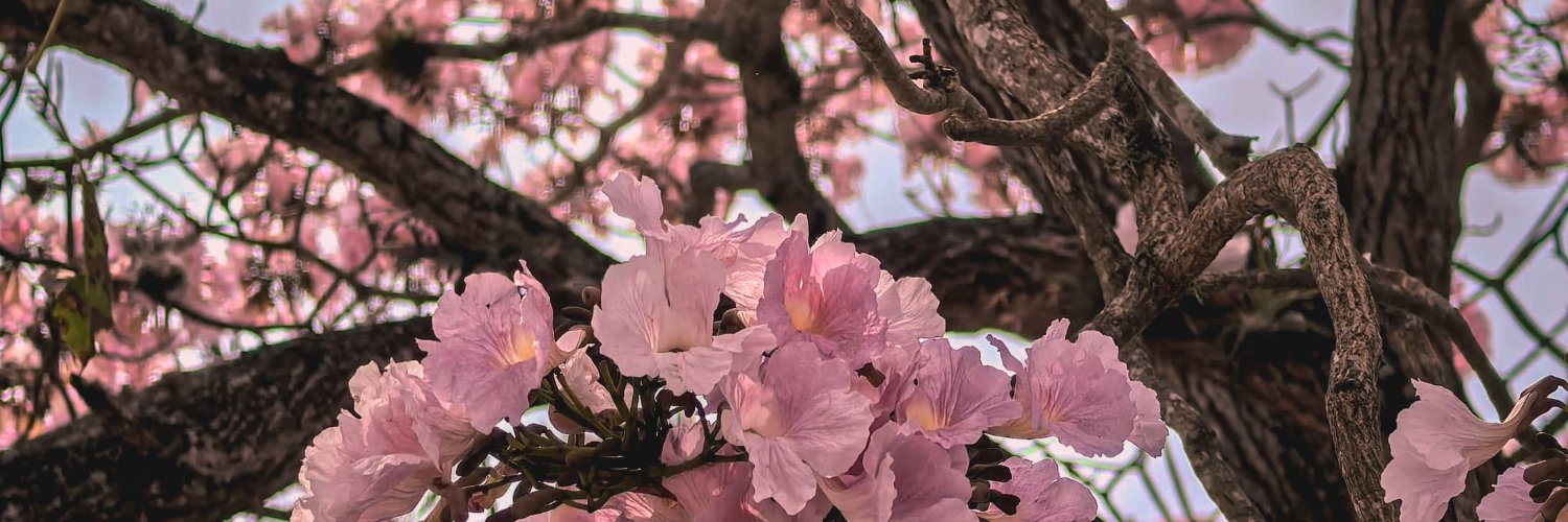 Jeka__J's profile banner image