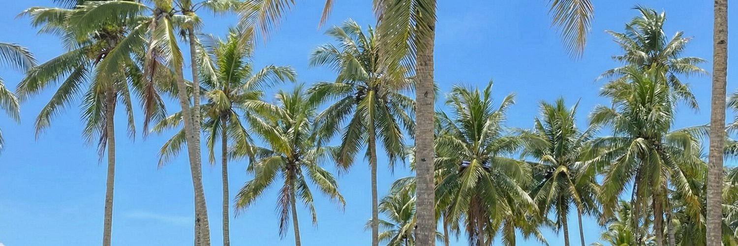maderose_8's profile banner image