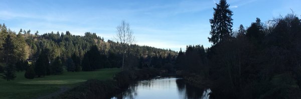 davinaduerr Profile Banner