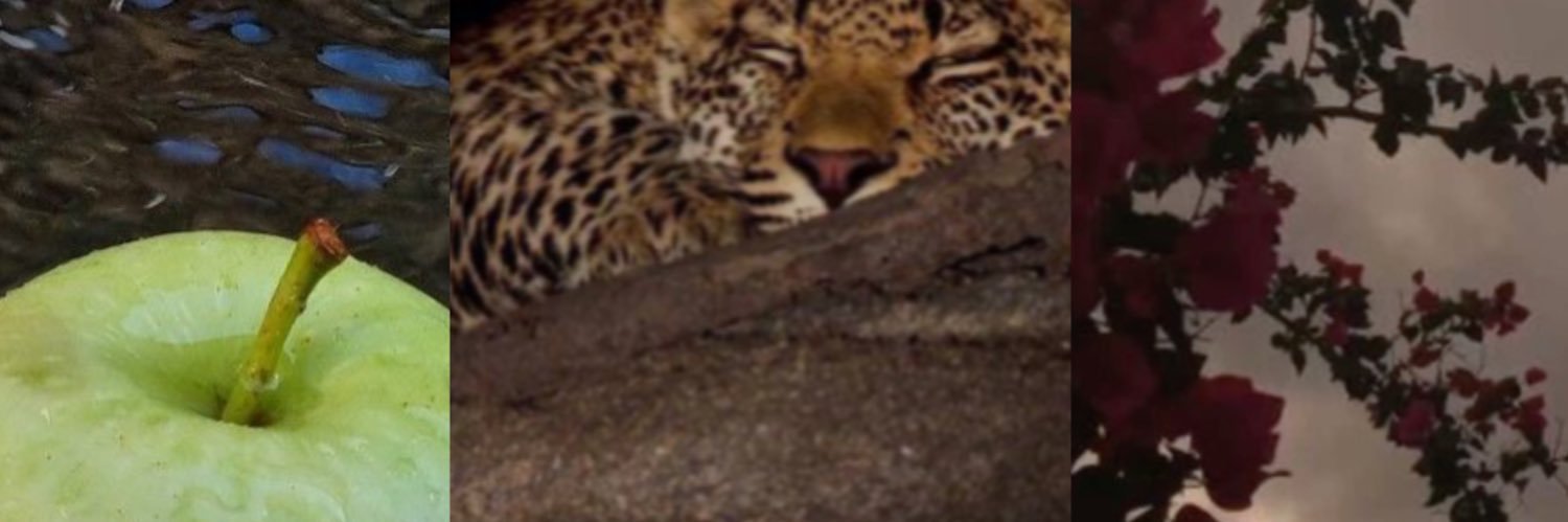 KibbsPNG's profile banner image