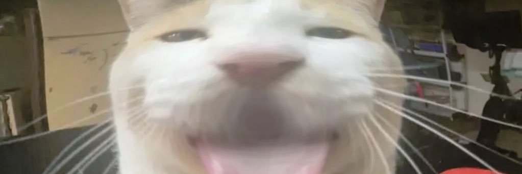 babybuffribs's profile banner image