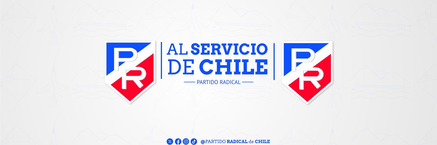 Partido Radical banner