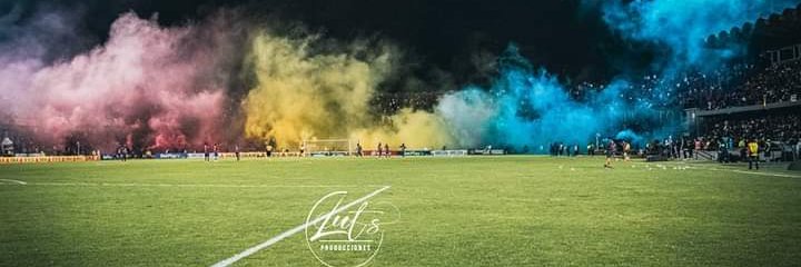 Paola Rivadeneira 🐝 banner