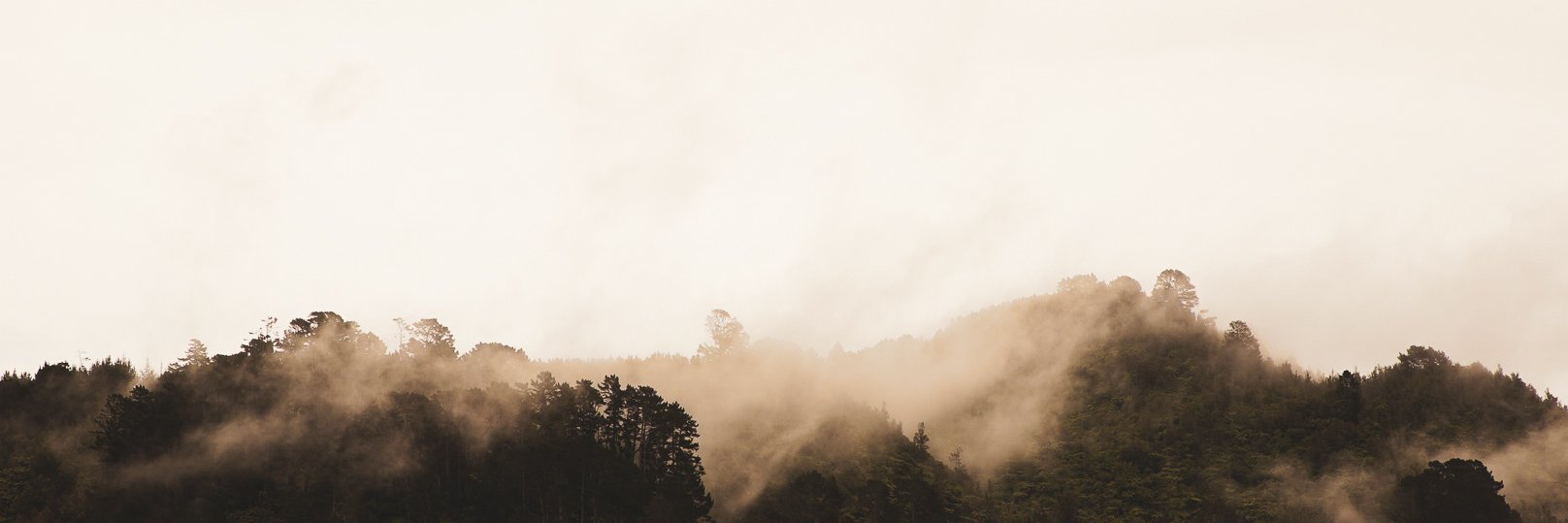 mrianparish's profile banner image