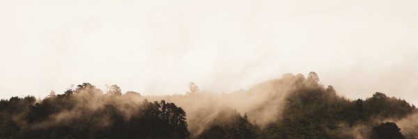 mrianparish Profile Banner