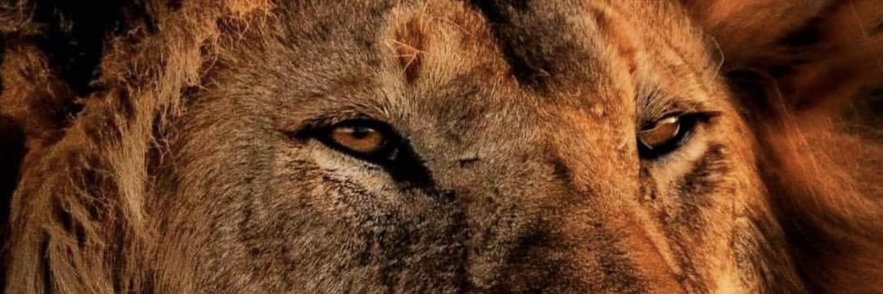 Deephanjd's profile banner image