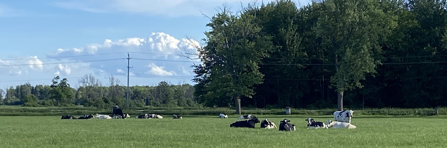 TwitDeWitt's profile banner image