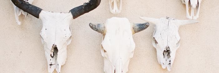 ciyla7's profile banner image