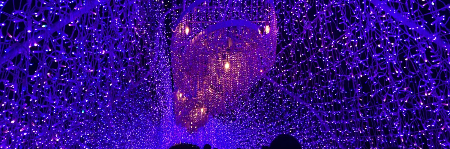 leo55421's profile banner image