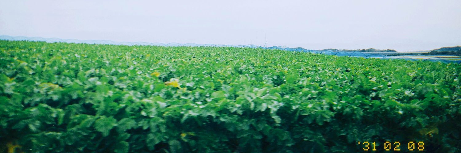 Yu_Ka836's profile banner image