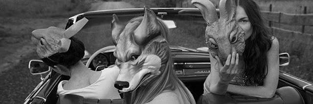 delvivarco's profile banner image